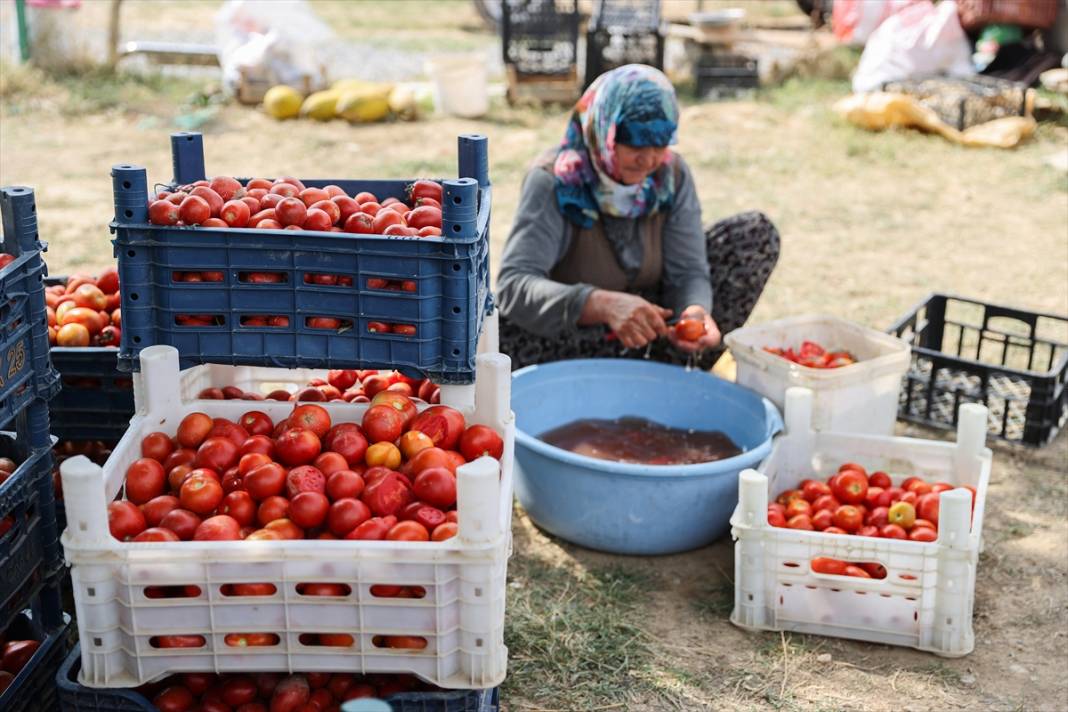 Özelliğini duyan Konya’daki bu bahçeye koşuyor 13